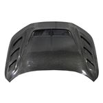 VIS Racing Double Sided Carbon Fiber Hood AS 2-3