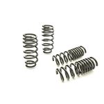 Eibach PRO-KIT Performance Springs (Set of 4 Sprin