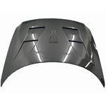 VIS Racing AMS Style Black Carbon Fiber Hood-3