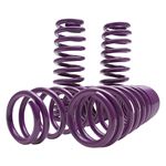 D2 Racing SP Lowering Springs (D-SP-VO-09)