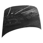 VIS Racing OEM Style Black Carbon Fiber Hood