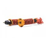 Ark Performance DT-P Coilovers (CD0104-0105)-3