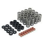 Skunk2 Honda L15B7 Ultra Valve Springs and Spring