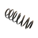 Bilstein B3 OE Replacement-Coil Spring (199020)