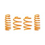 Ark Performance GT-F Lowering Springs (LF0702-0900