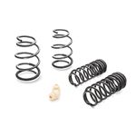 Eibach PRO-KIT Performance Springs (Set of 4 Sprin