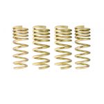 Ark Performance GT-S Lowering Springs (LS0900-0300