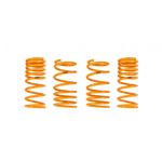 Ark Performance GT-F Lowering Springs (LF1202-0113