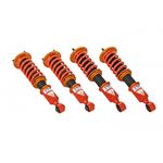 Ark Performance DT-P Coilovers (CD0100-9100)-3