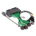 Boomslang Plug and Play Harness Kit for Emtron KV-