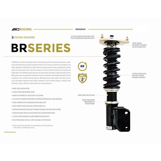 BC Racing BR-Series Coilovers (B-08-BR)-3