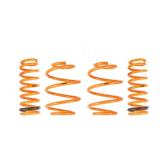 Ark Performance GT-F Lowering Springs (LF0704-0010