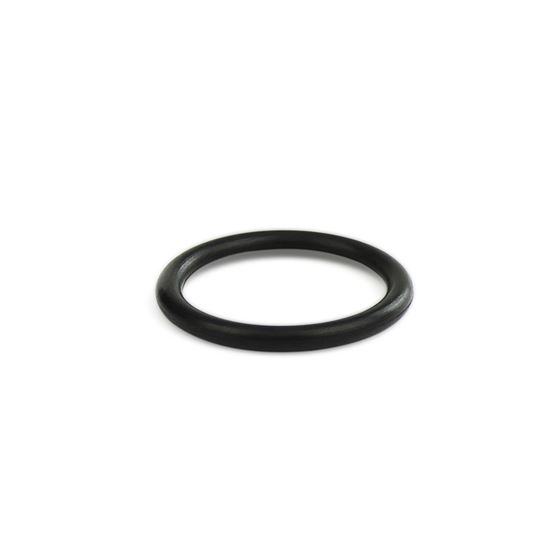 HPS Performance Rubber O-Ring (OR6290-03)