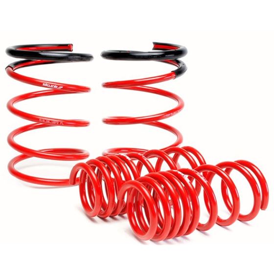 Skunk2 Racing Lowering Coil Spring Set (519-05-1670)