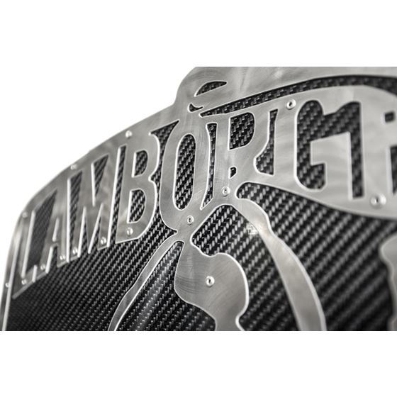 Fabspeed Carbon Fiber Wall Art - Lamborghini (F-3