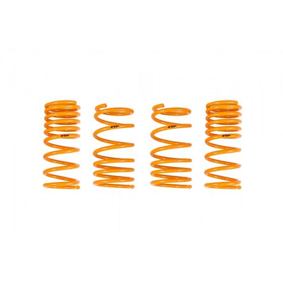 Ark Performance GT-F Lowering Springs (LF1601-0218