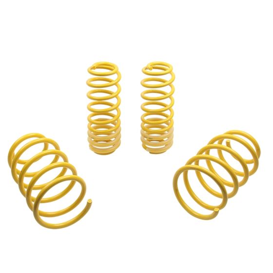 ST Lowering Springs for 05-14 Ford Mustang 5th gen