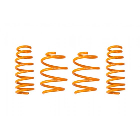 Ark Performance GT-F Lowering Springs (LF0702-0900