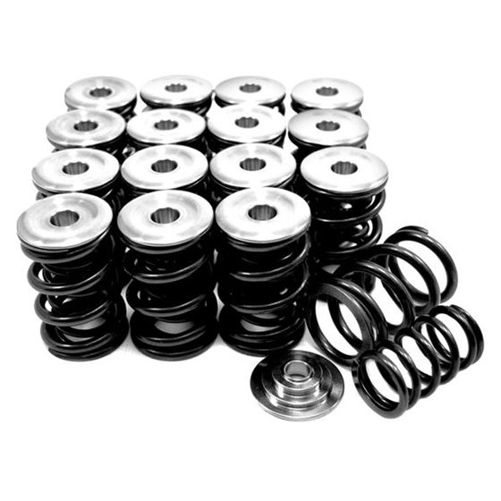 GSC Power-Division Dual Valve Spring Kit with Tita