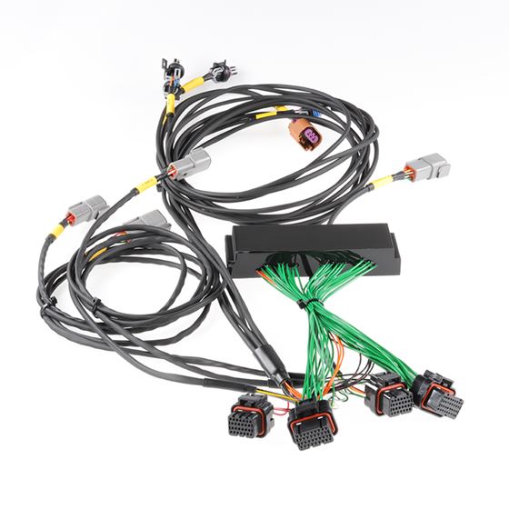 Boomslang Plug and Play Harness Kit for Haltech Ne