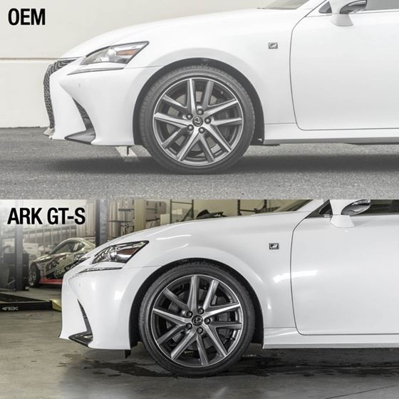 Ark Performance GT-S Lowering Springs for Lexus-3