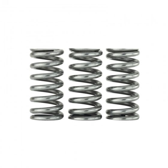 Skunk2 Honda L15B7 Ultra Valve Springs and Spri-3