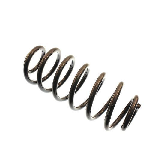 Bilstein B3 OE Replacement-Coil Spring (199021)
